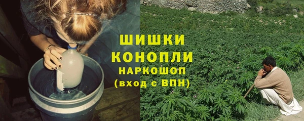 ГАЛЛЮЦИНОГЕННЫЕ ГРИБЫ Алексин