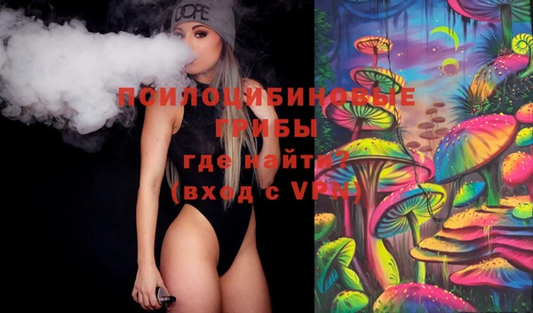 ГАЛЛЮЦИНОГЕННЫЕ ГРИБЫ Алексин