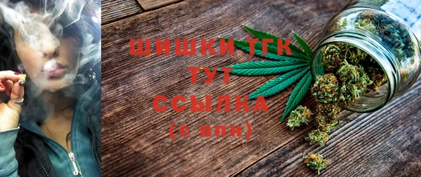 ГАЛЛЮЦИНОГЕННЫЕ ГРИБЫ Алексин