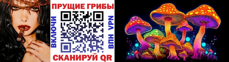 Псилоцибиновые грибы Psilocybine cubensis  Купить закладки  Горняк 